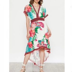 ANTHROPOLOGIE - Flying Tomato V-Neck Multicolor Floral Print Maxi Dress Medium